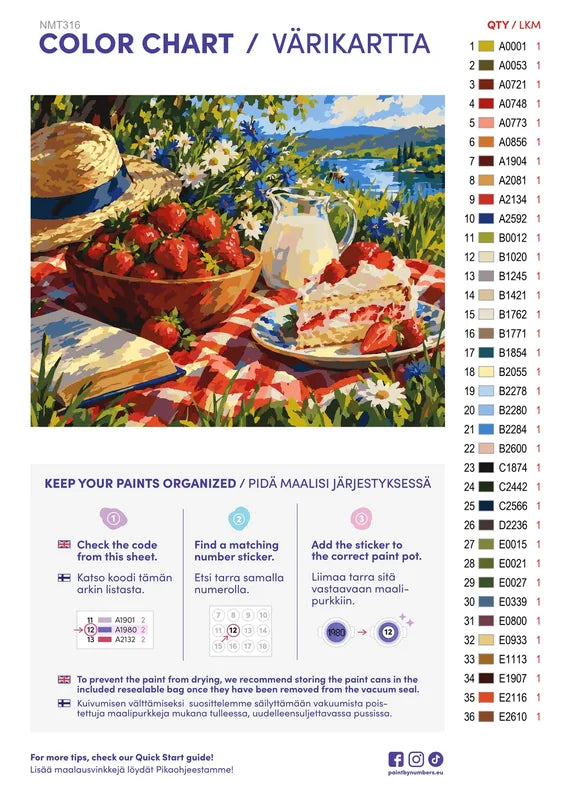 Numeromaalaus: Värikartta ja ohjeet - Strawberry Picnic 50x40cm