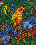 Thumbnail for Timanttikuvio - Sun Conure