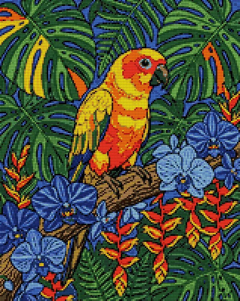 Timanttikuvio - Sun Conure