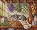 Thumbnail for Tabbykissa nukkumassa kuivuvien yrttien keskellä, 50x40 cm timanttimaalaus – koko kuvion esikatselu