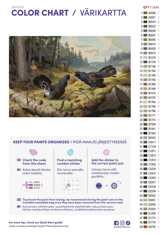 Numeromaalaus: Värikartta ja ohjeet - The Fighting Capercaillies 60x40cm