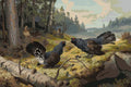 Thumbnail for Numeromaalaus Ferdinand von Wrightin teoksesta Taistelevat metsot, kaksi metsoa kohtaa metsäaukiolla.
