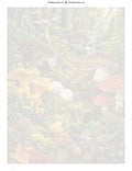 Thumbnail for Numeromaalaus: Numeroitu kangas - The Mushroom Kingdom Floor 60x80cm