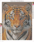 Thumbnail for Tiger Portrait timanttimaalauksen liimapintainen canvas 40x50cm