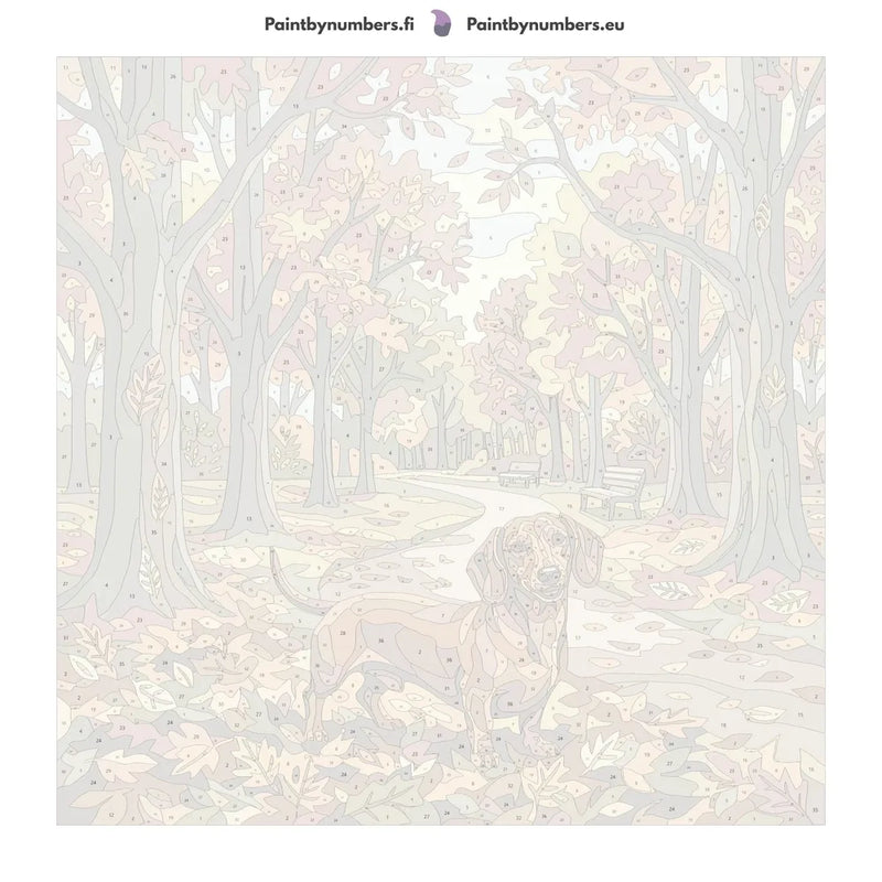 Numeroitu kangas - Dachshund in Autumn Park 50x50cm