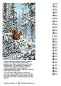Thumbnail for Värikartta ja ohjeet - Squirrel and Birds in Winter Forest 40x70cm