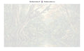 Thumbnail for Numeroitu kangas - Sloth in Rainforest 70x40cm