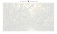 Thumbnail for Numeroitu kangas - Sloth in Rainforest 70x40cm
