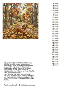 Thumbnail for Värikartta ja ohjeet - Dachshund in Autumn Park 50x50cm