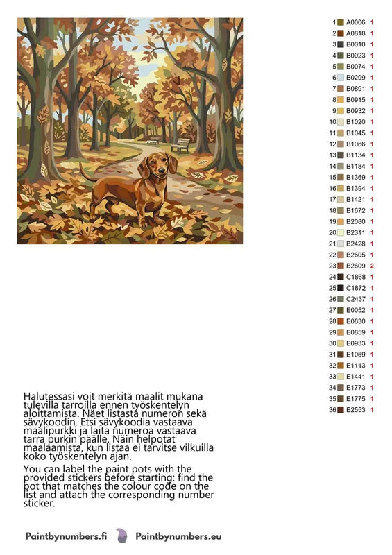 Värikartta ja ohjeet - Dachshund in Autumn Park 50x50cm