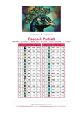Thumbnail for Peacock Portrait timanttimaalauksen värikartta – 32 DMC-väriä