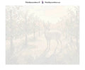 Thumbnail for Paint by numbers canvas - Deer in Orchard