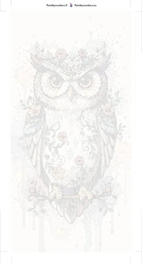 Thumbnail for Paint by numbers canvas - Owl with Flowers