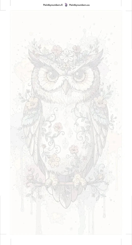 Paint by numbers canvas - Owl with Flowers