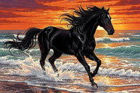 Thumbnail for Timanttimaalaus Black Horse at Sunset