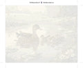Thumbnail for Eläin numeromaalaus pakkaus