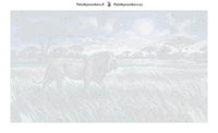 Thumbnail for Numeroitu kangas - Lion Under Moonlight 70x40cm