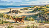 Thumbnail for Pitkäkarvainen mäyräkoira hiekkadyyneillä numeromaalaus.