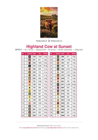 Thumbnail for Highland Cow at Sunset timanttimaalauksen värikartta – 40 DMC-väriä