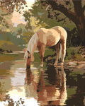 Thumbnail for Paint by numbers of a light-colored horse drinking water by a calm forest river.