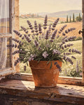 Thumbnail for Timanttimaalaus Lavender in Window