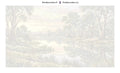 Thumbnail for Numeroitu kangas - Eucalyptus Trees by Lake 70x40cm