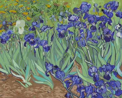 Irises numeromaalaus - Vincent van Gogh