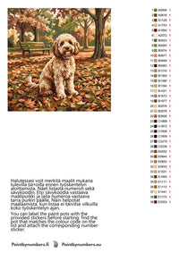 Thumbnail for Värikartta ja ohjeet - Dog in Autumn Park 50x50cm