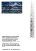 Thumbnail for Värikartta ja ohjeet - Lion Under Moonlight 70x40cm