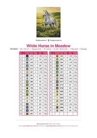 Thumbnail for White Horse in Meadow timanttimaalauksen värikartta – 37 DMC-väriä