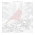 Thumbnail for Paint by numbers canvas - Red Cardinal in Snow