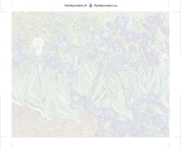 Thumbnail for Paint by numbers canvas - Irises