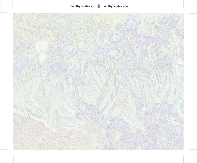 Paint by numbers canvas - Irises