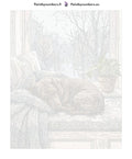 Thumbnail for Numeroitu kangas - Dachshund Sleeping on Bench 40x50cm