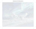 Thumbnail for Susi revontulissa numeromaalaus kangas