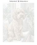 Thumbnail for Numeroitu kangas - Curly Dog on Sofa 40x50cm
