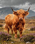 Thumbnail for Timanttimaalaus Heather and Horns