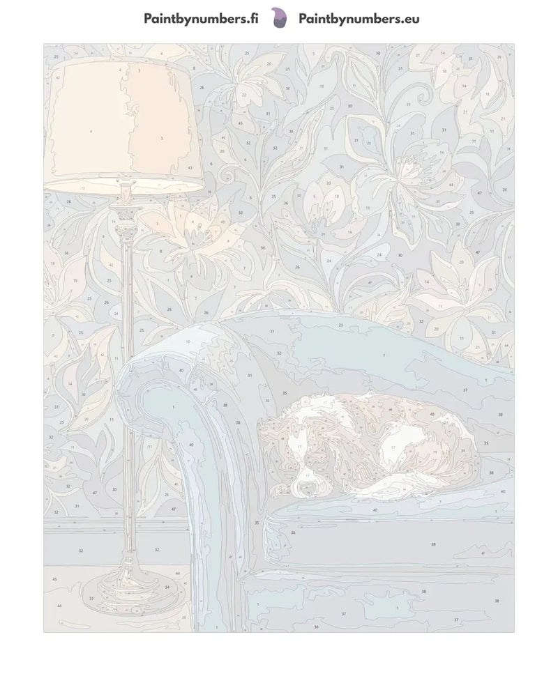 Paint by numbers canvas - Dog Sleeping on Sofa