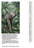 Thumbnail for Värikartta ja ohjeet - Baby Elephant in Jungle 40x70cm