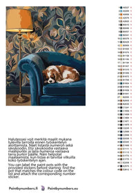 Thumbnail for Paint by numbers color chart - Dog Sleeping on Sofa - väriluettelo ja ohjeet