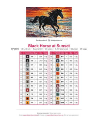 Thumbnail for Black Horse at Sunset timanttimaalauksen värikartta – 24 DMC-väriä