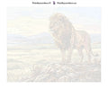 Thumbnail for Paint by numbers canvas - Lion on Rocky Hill