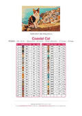 Thumbnail for Coastal Cat timanttimaalauksen värikartta – 43 DMC-väriä