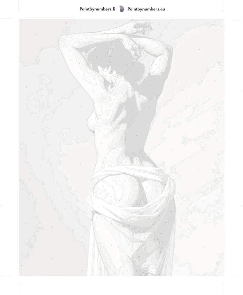 Paint by numbers canvas - Woman Back Nude Draped