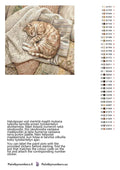 Thumbnail for Värikartta ja ohjeet - Orange Tabby Cat Sleeping 50x50cm