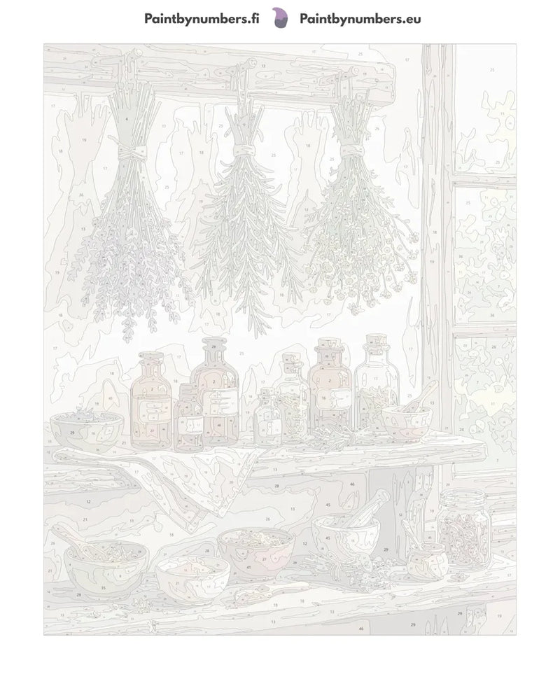 Paint by numbers canvas - Herbs and Apothecary Bottles