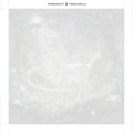 Thumbnail for Paint by numbers canvas - White Deer in Forest