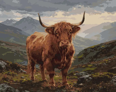 Highland-karja numeromaalaus - upea karja vuoristossa