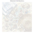 Thumbnail for Numeroitu kangas - Seashells and Sun Hat 50x50cm