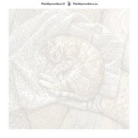 Thumbnail for Numeroitu kangas - Orange Tabby Cat Sleeping 50x50cm